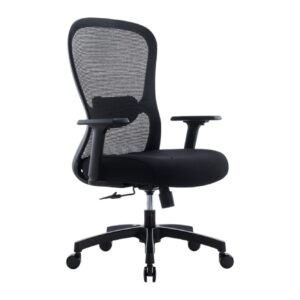 Cocoon Office Chair
